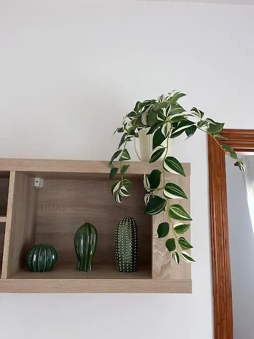 Casa Lunita Apartment Arona