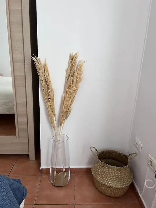Casa Lunita Appartement Arona  0*, Arona (Tenerife)